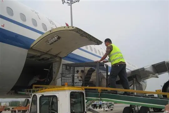 新疆空运宁波机场